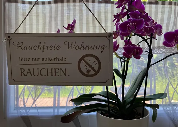 公寓 Im Moselland 马林诺维德